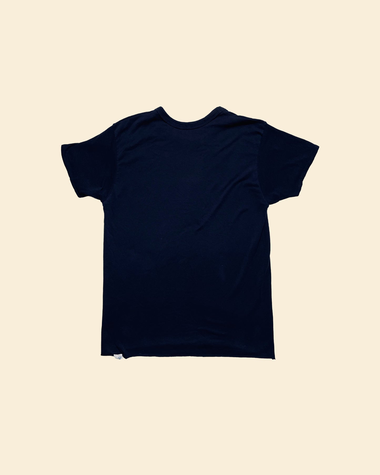 Vintage 80’s ‘Blue Double Face - Champion’ Tshirt